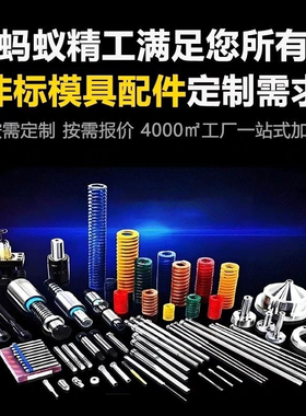 模具顶针 全硬司筒 扁顶托针镶针SKD-61冲针浮升销件凹凸非标弹簧