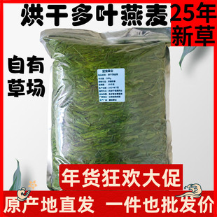 新5A烘干燕麦草兔子草龙猫荷兰猪豚鼠粮食饲料磨牙牧草干草岷县