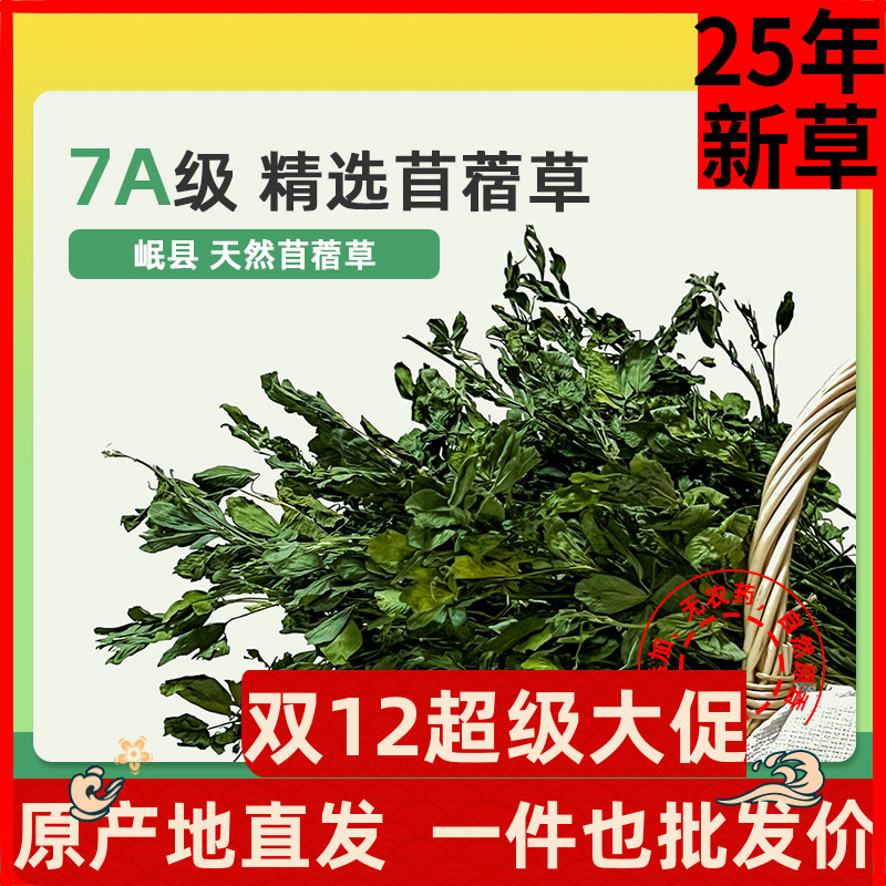 7A级紫花苜蓿草兔子草龙猫荷兰猪