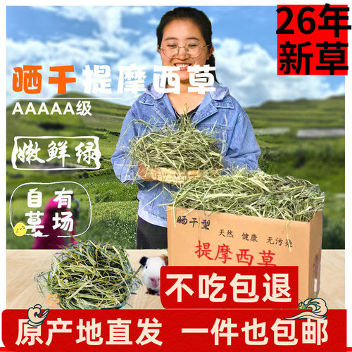 特级晒干提摩西草北提小宠热销款
