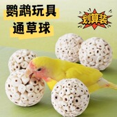 鹦鹉啃咬玩具通草球牡丹虎皮磨嘴玩耍解闷防抑郁咬毛鸟爱啃爱玩球