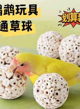 鹦鹉啃咬玩具通草球牡丹虎皮磨嘴玩耍解闷防抑郁咬毛鸟爱啃爱玩球