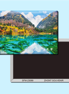 四川九寨沟五花海旅行纪念品磁性冰箱贴磁贴贴纸简约装饰贴23089