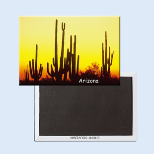 美国 亚利桑那州 夕阳 仙人掌 磁性冰箱贴 旅行纪念品 20894