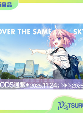 鹤屋 aniplex FGO 10th周年 OVER THE SAME SKY 角色立牌 P2 预定