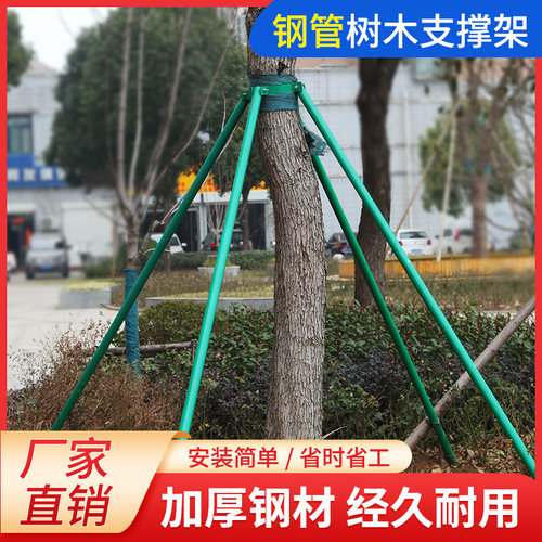 镀锌钢管绿化支撑架抱箍树木防风