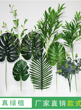 花卉尤加利绿叶橄榄枝家居装饰