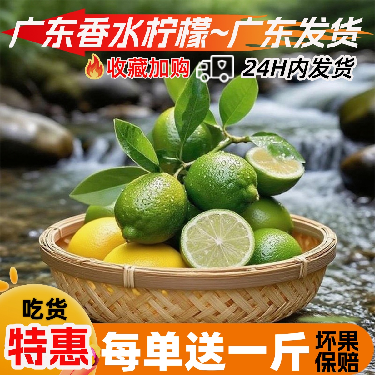 现摘广东无籽香水柠檬奶茶店爆单