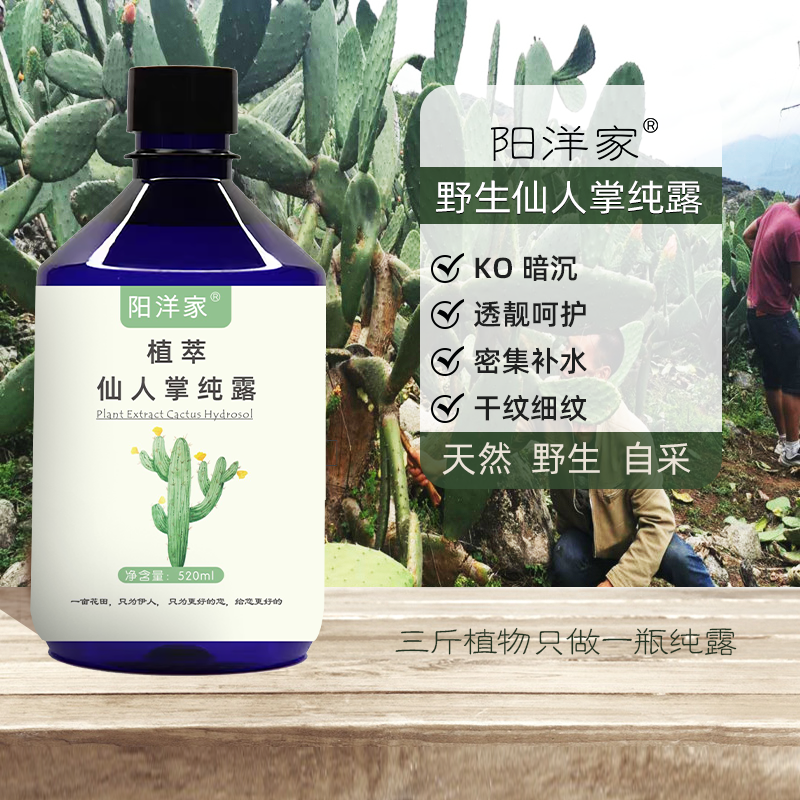 野生仙人掌纯露500ml强补水透靓辐射弹滑紧实护肤细纹干纹老化肌,美容护肤/美体/精油,纯露/花水,淘宝优惠券,粉丝福利购,淘宝优惠卷