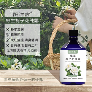 阳洋家野生栀子花纯露520ml补水护肤细腻大红痘痘舒润喷雾爽肤水