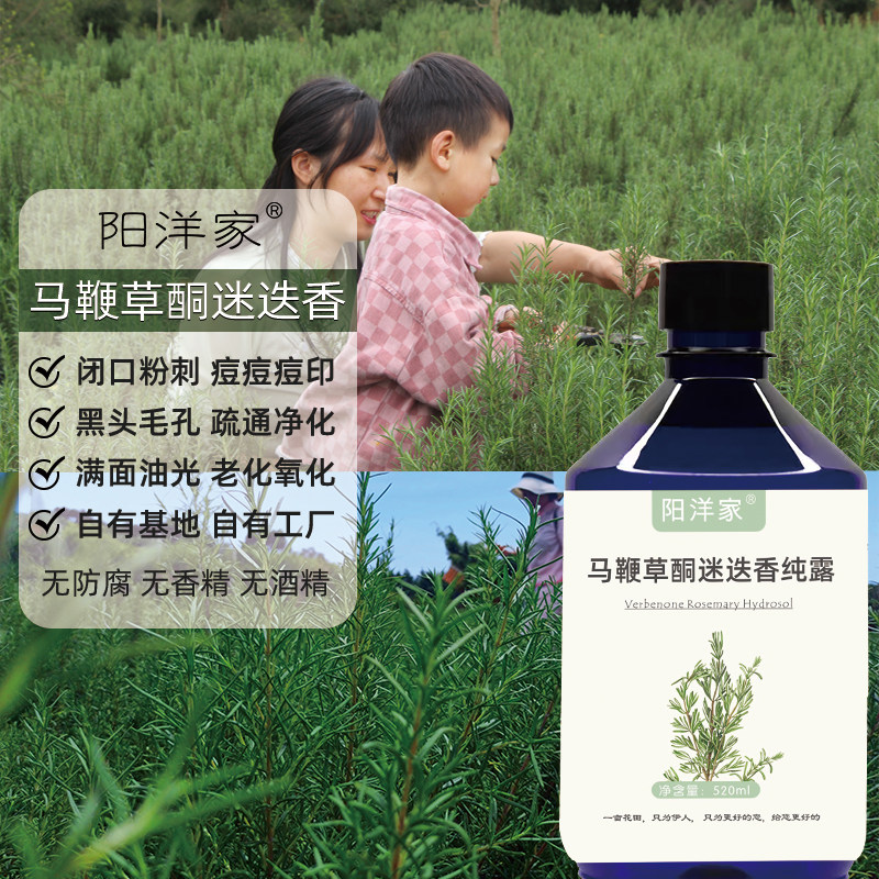 马鞭草酮迷迭香纯露520ml马迷喷雾湿敷水闭口粉刺痘痘毛孔黑头886