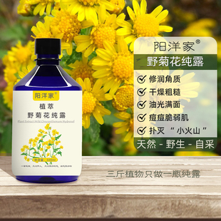 野菊花纯露520ml补水舒润维稳屏障脆弱温和痘痘喷雾爽肤水