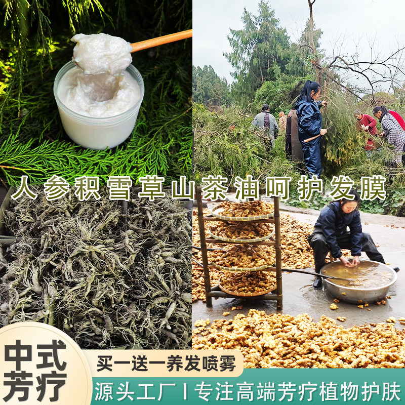 一梳到底养出绸缎发300g人参积雪草山茶油护发精油膜干枯毛躁断发