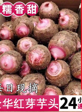 金华红芽芋头5斤粉糯毛芋艿荔浦新鲜奶油香小芋头蔬菜当季包邮10
