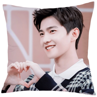 杨洋抱枕订制特战荣耀燕破岳同款靠垫明星周边人形枕头女生日礼物