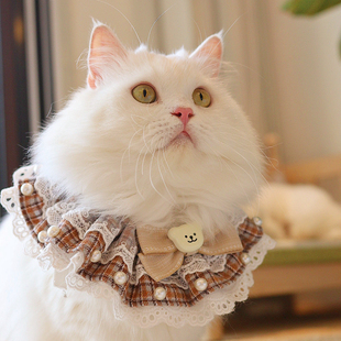 宠物项圈狗狗衣服围脖三角巾口水巾编制手工制作可爱猫咪衣服蕾丝