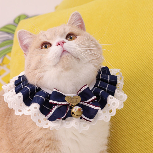 猫咪狗狗蕾丝口水巾一件宠物项圈