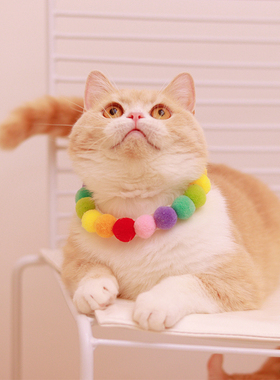 猫咪彩色球项圈狗狗毛球项圈链英短比熊脖圈网红宠物拍照生日饰品