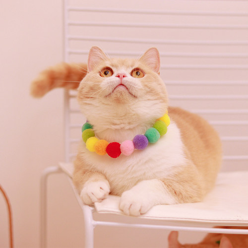 猫咪彩色球项圈狗狗拍照生日饰品
