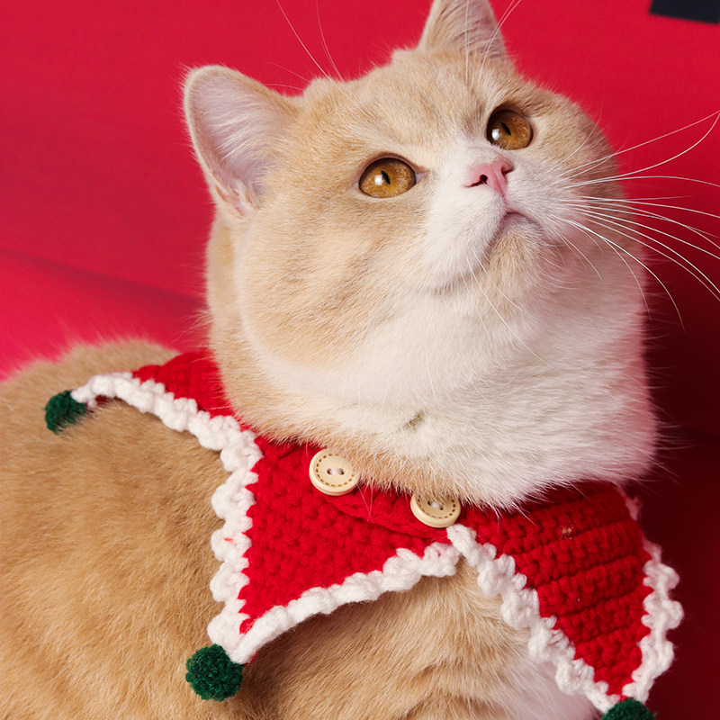 宠物猫咪狗狗兔兔新年礼物项圈节日毛线手工针织口水巾手工围脖,宠物/宠物食品及用品,领结,淘宝优惠券,粉丝福利购,淘宝优惠卷
