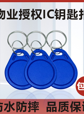 IC钥匙扣3号钥匙扣异形卡IC复旦卡M1卡门禁卡mifare卡IC授权卡扣