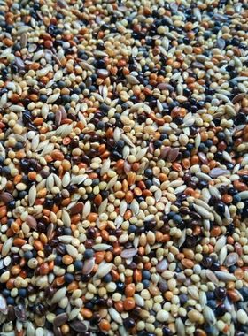 玉鸟黄雀营养鸟食金丝雀混合鸟粮麻料金翅芙蓉鸟金青黄巧饲料正品