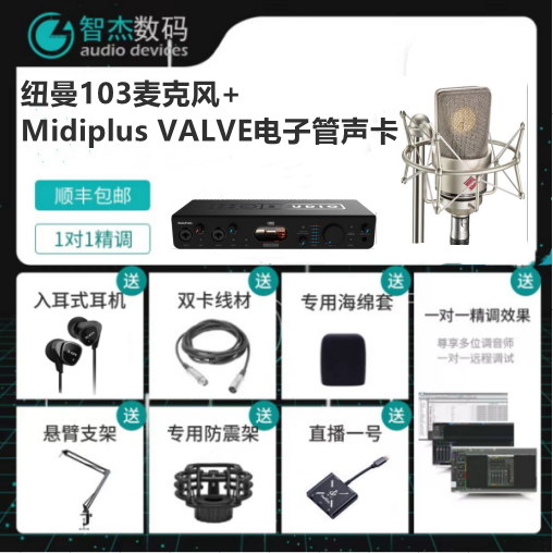 NEUMANN 诺音曼 TLM103 专业电容麦克风话筒套装德国进口 纽曼
