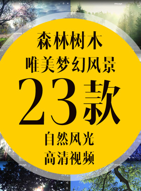 4K超清唯美梦幻 树叶森林树木 森系婚礼 LED屏幕舞台视频背景素材