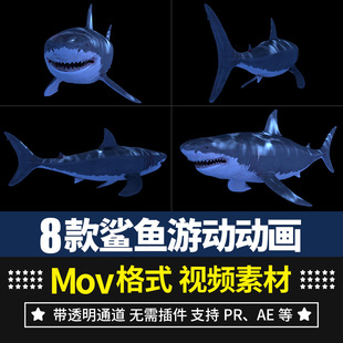 ae视频素材大海海洋生物鲨鱼游动效果alpha透明通道高清4k动画