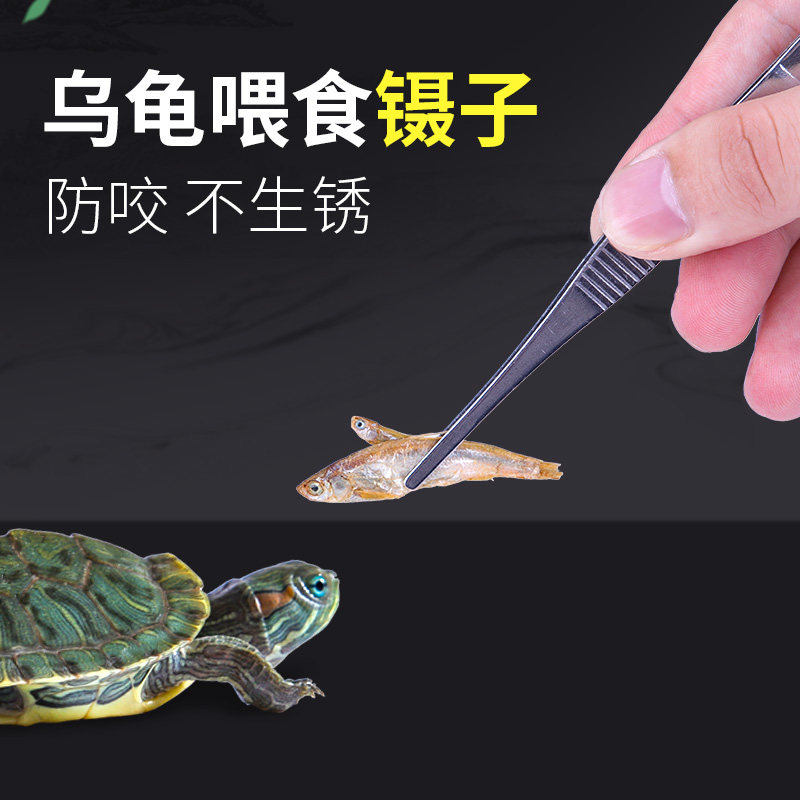 乌龟黄缘陆龟爬虫不锈钢喂食夹子镊子鱼缸水草缸清扫种植工具用品,宠物/宠物食品及用品,爬宠缸/箱,淘宝优惠券,粉丝福利购,淘宝优惠卷