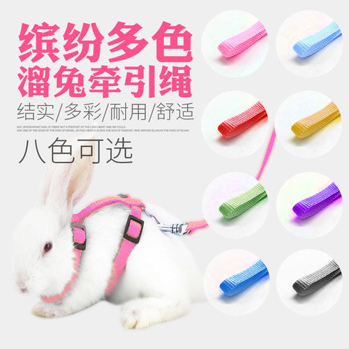 溜兔子牵引绳小宠物兔兔外出专用龙猫链子遛兔绳牵引带防挣脱神器 - 封面