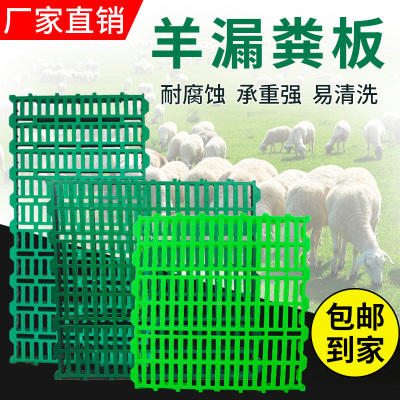 漏粪板羊用塑料羊床羊粪小羊棚养羊专用羊圈落粪板羊栏漏粪网加厚
