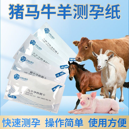 母猪怀孕试纸兽用测孕纸