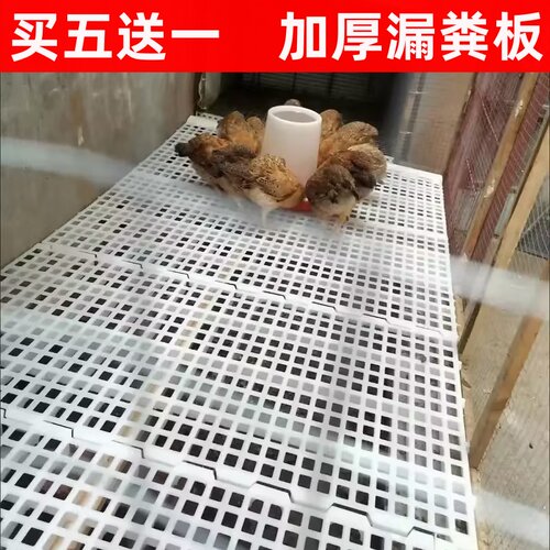 鸡粪漏粪板养鸡用鸡舍塑料漏屎板