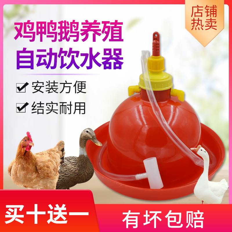 普拉松养殖加厚鸡自动饮水器
