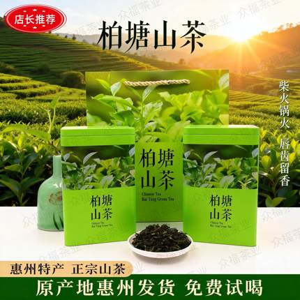 柏塘山茶广东客家手工绿茶惠州博罗特产明前春茶浓香型罗浮山茶叶