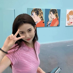 Brandy BM美式粉色条纹圆领纯棉短袖上衣少女bm百搭修身显瘦上衣