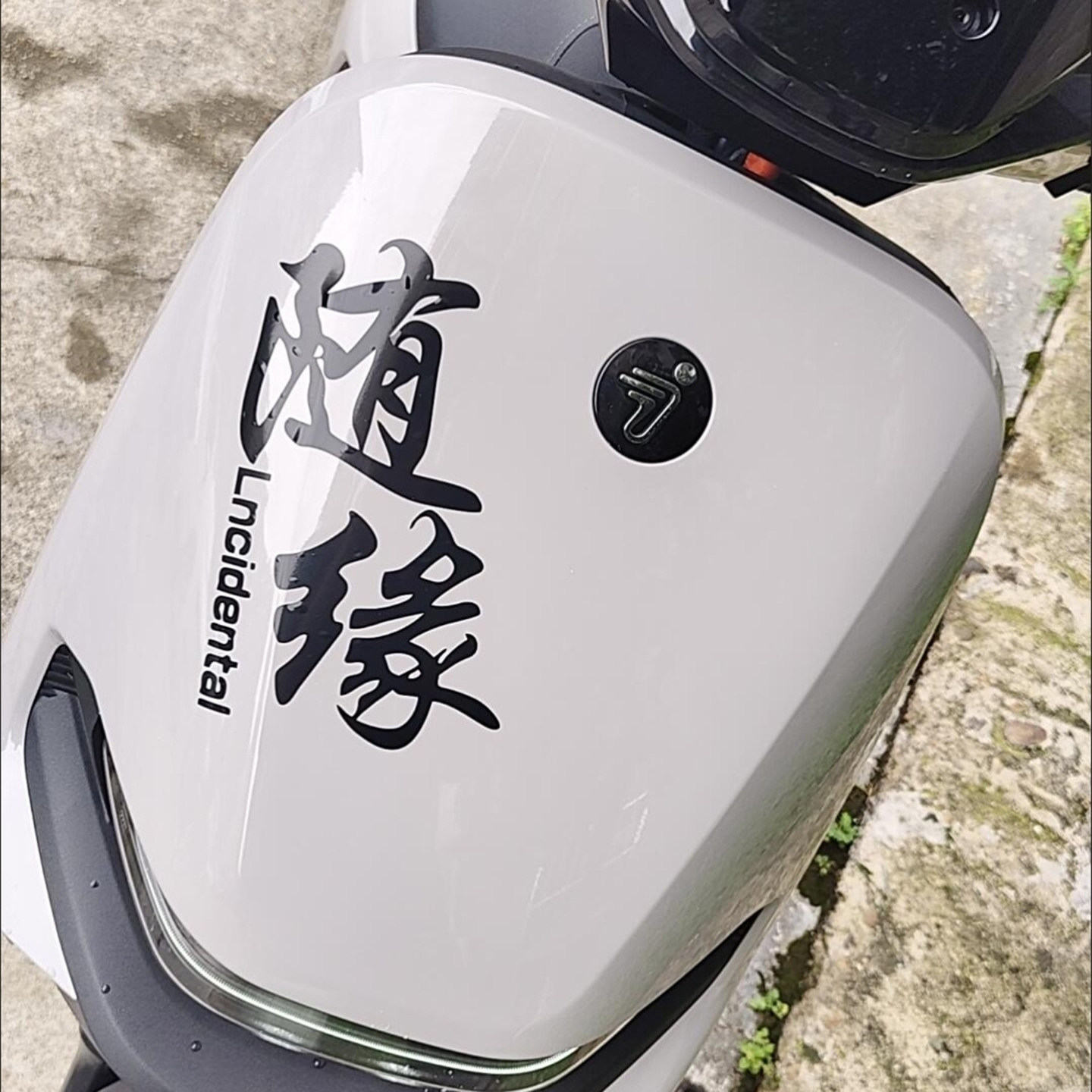 适用九号M95C/M85C/MZmixN385c电动车身态度随缘创意装饰贴纸拉花图片