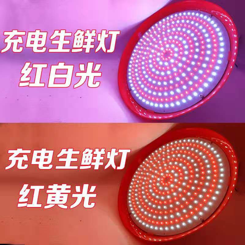 充电led生鲜灯猪肉熟食专用卤菜