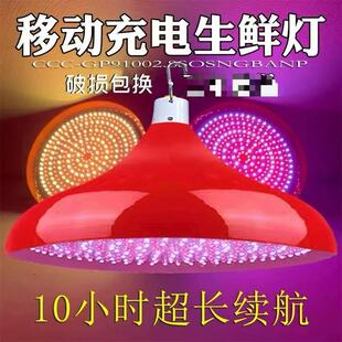 led led充电生鲜灯熟食鲜肉摊水果卤菜店蔬菜市场专用夜市摆摊