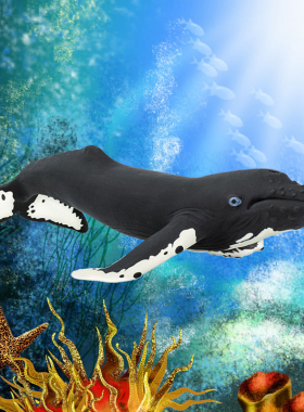 美国 Safari正品海洋生物教学模型 大翅鲸 （座头鲸）模型202029