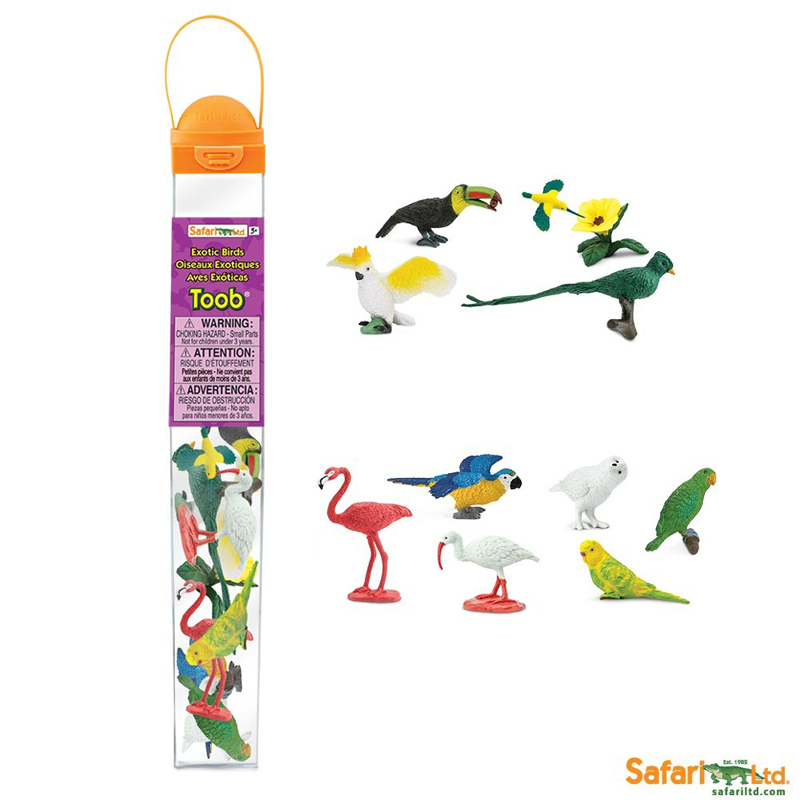 美国Safari正品进口鸟类桶装仿真动物模型玩具欧美教学玩偶摆件