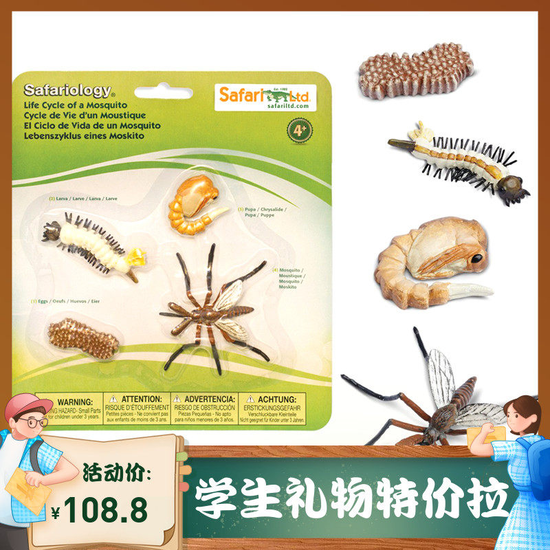 昆虫类蚊子生长静态动物模型3-7岁幼儿园玩具礼物欧美正版safari