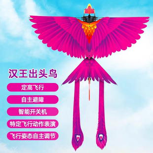 汉王出头鸟遥控充电飞鸟扑翼鲁班神鸟儿童玩具仿真仿生小鸟飞行器