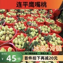 广东河源连平上坪鹰嘴桃新鲜水果桃子脆桃水蜜桃产地直发
