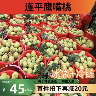 廣東河源連平上坪鷹嘴桃新鮮水果桃子脆桃水蜜桃產(chǎn)地直發(fā)