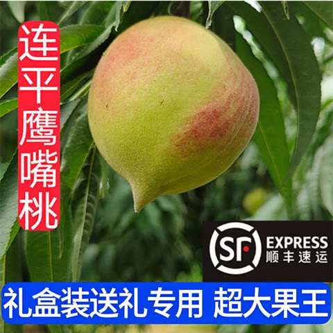 连平鹰嘴桃桃子新鲜水果礼盒装