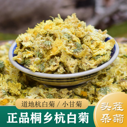 杭白菊特级正品 正宗浙江桐乡杭白菊250g 新货无硫精品头茬朵菊花