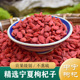 正宗宁夏枸杞子500g 中宁红枸杞中药材红枸杞干 贡果特级无硫新货