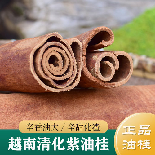 紫油桂药用/肉桂粉香料